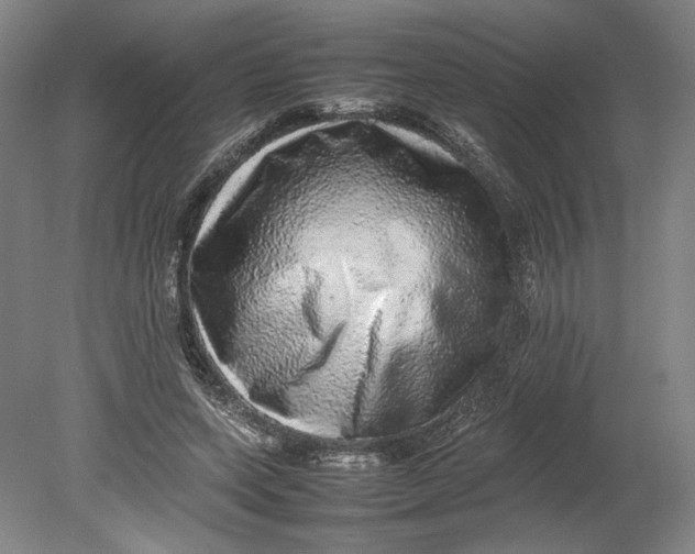 X0000080680543200701051037