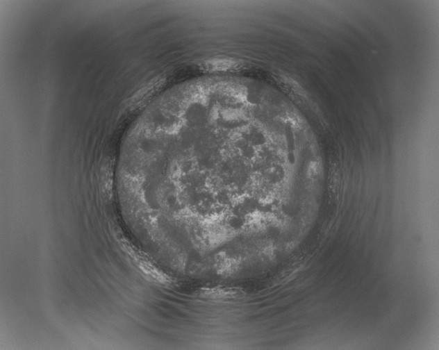 X0000080680545200701051037