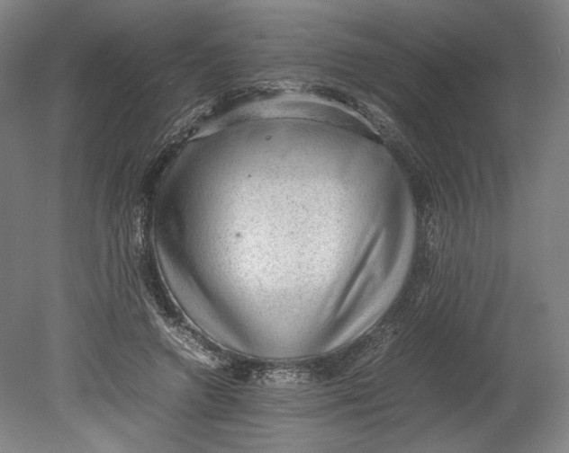 X0000080680546200701051037