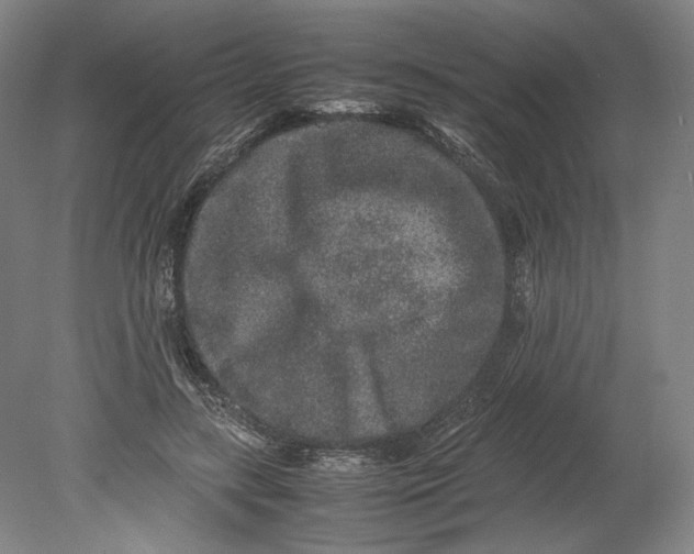 X0000080680547200701051037