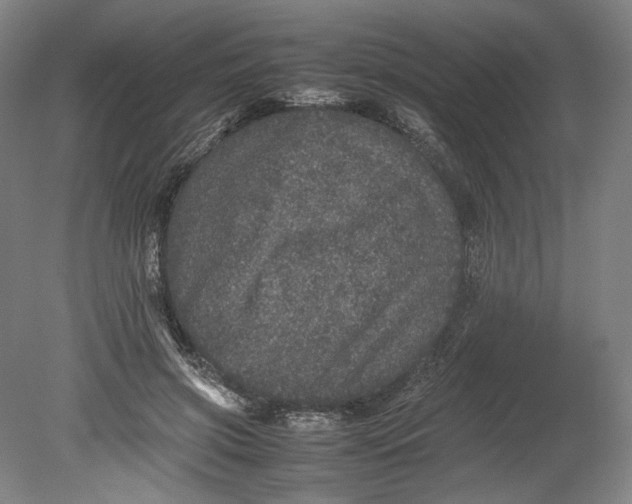 X0000080680549200701051037