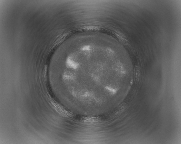 X0000080680550200701051037