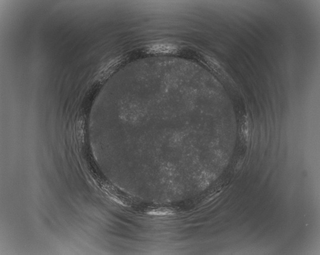 X0000080680551200701051037