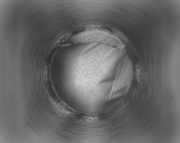 X0000080680552200701051037