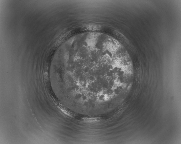 X0000080680553200701051037