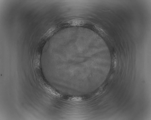 X0000080680554200701051037