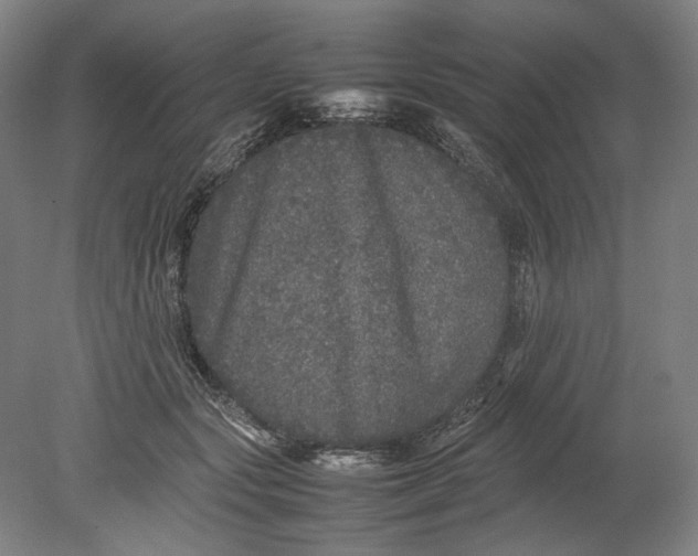 X0000080680557200701051037