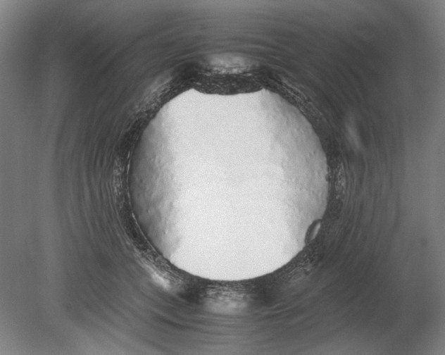 X0000080680559200701051037