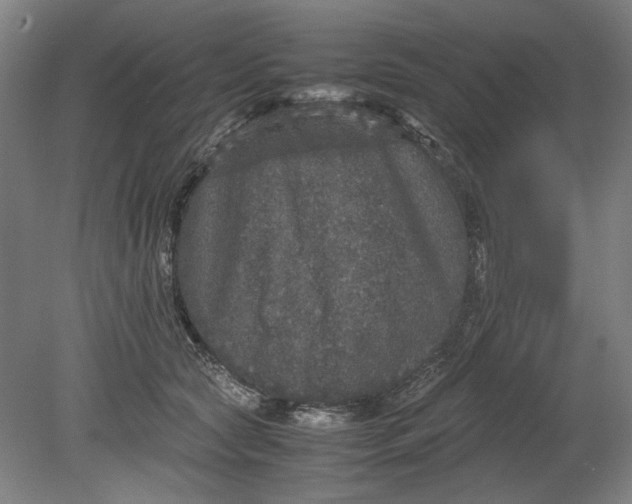 X0000080680561200701051037