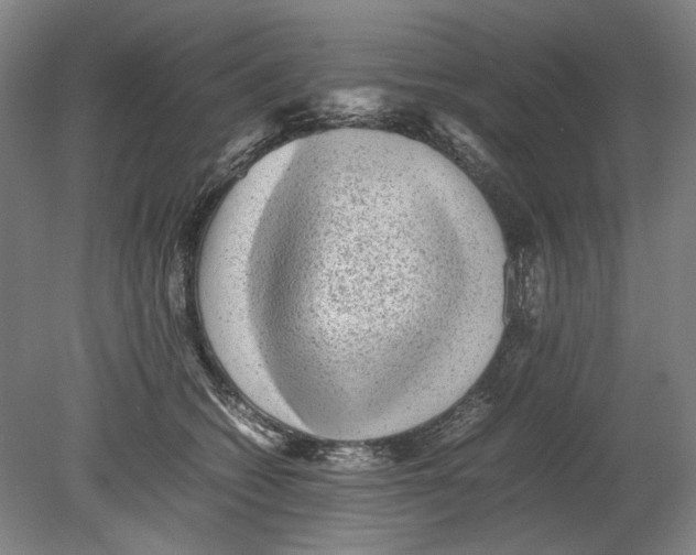 X0000080680562200701051037