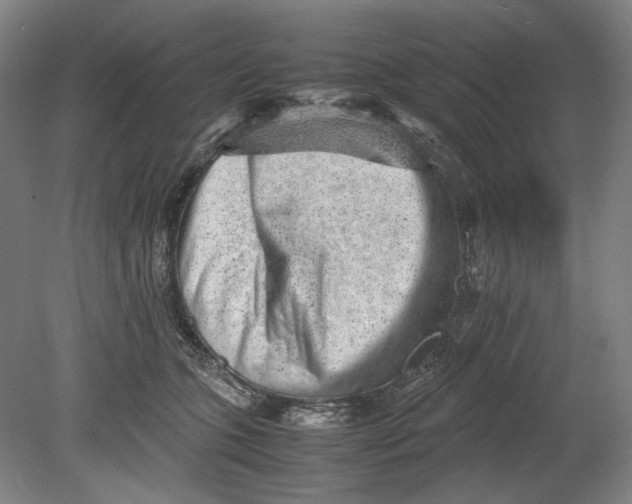 X0000080680563200701051037