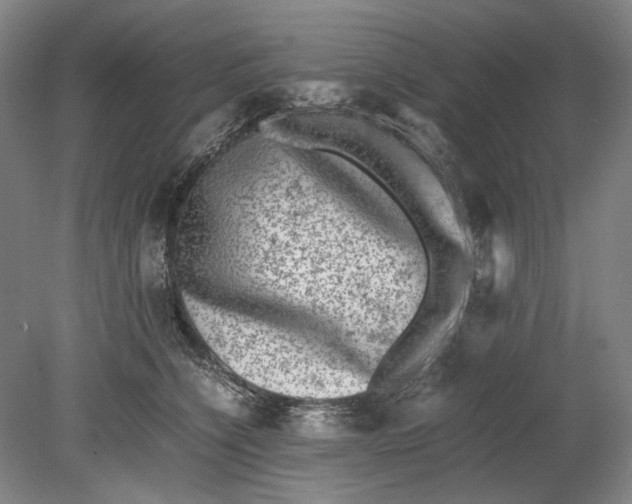 X0000080680564200701051037