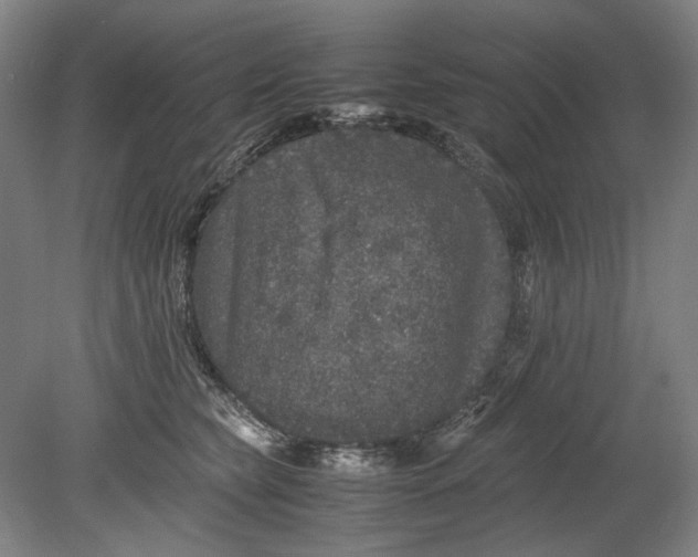 X0000080680565200701051037