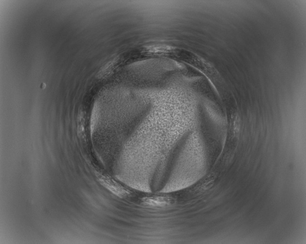 X0000080680567200701051037