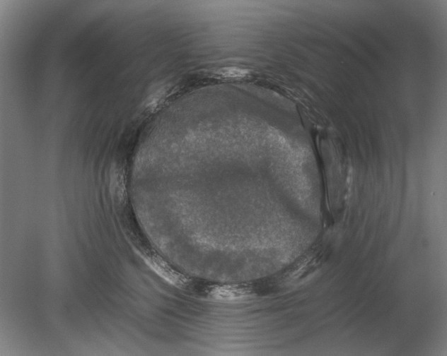 X0000080680568200701051037