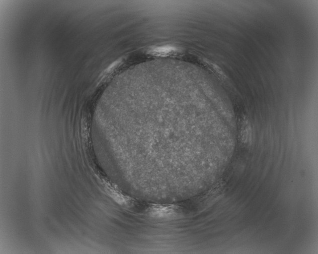 X0000080680569200701051037