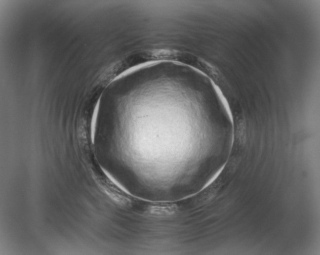 X0000080680571200701051037