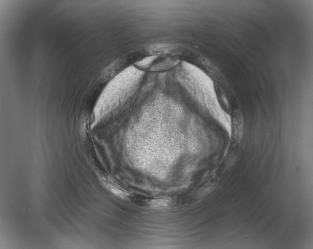 X0000080680574200701051037