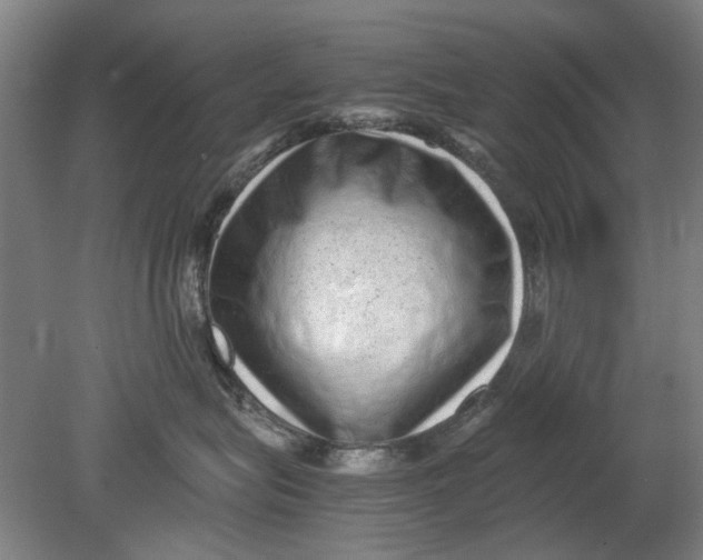 X0000080680575200701051037