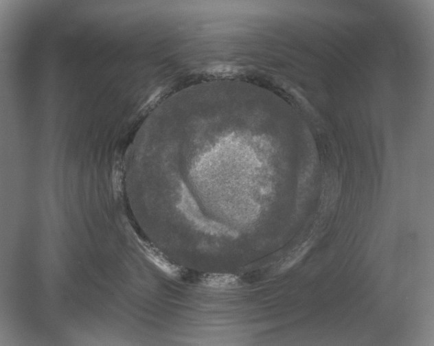 X0000080680576200701051037