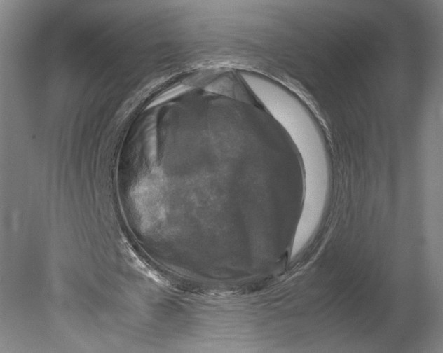 X0000080680577200701051036