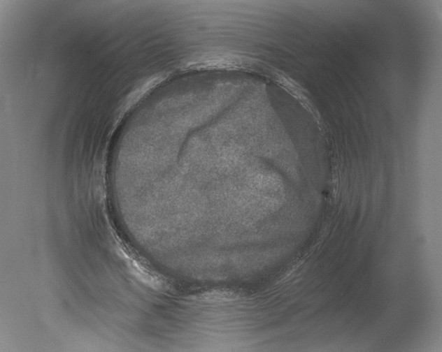 X0000080680578200701051036