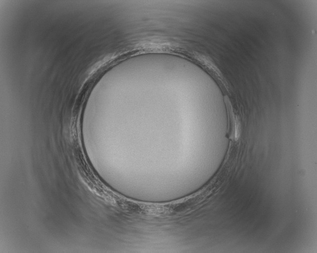 X0000080680579200701051036