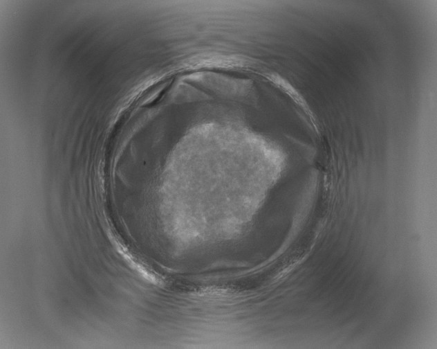 X0000080680581200701051036