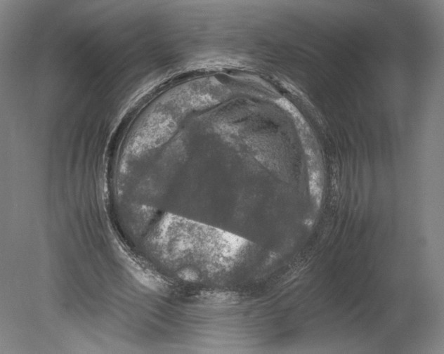 X0000080680582200701051036