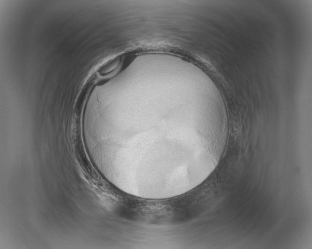 X0000080680583200701051036