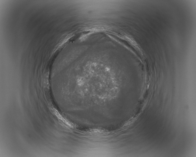 X0000080680585200701051036