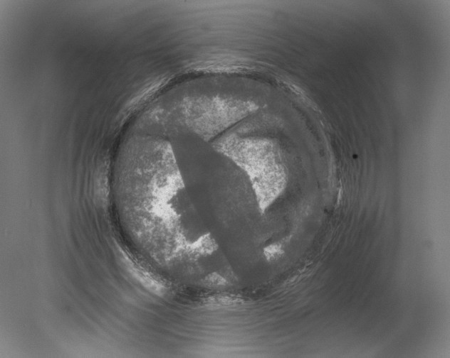 X0000080680586200701051036