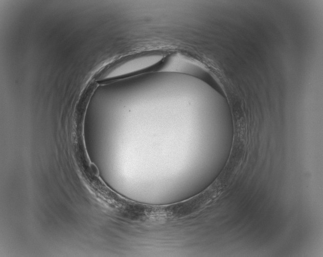 X0000080680587200701051036