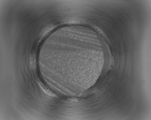 X0000080680588200701051036