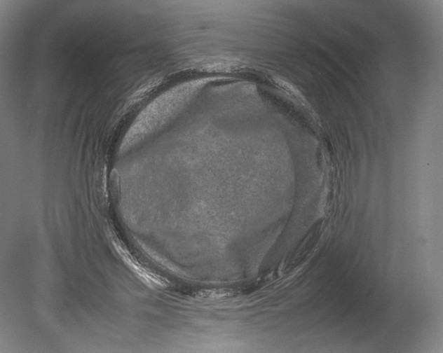 X0000080680589200701051036