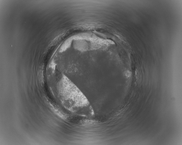 X0000080680590200701051036