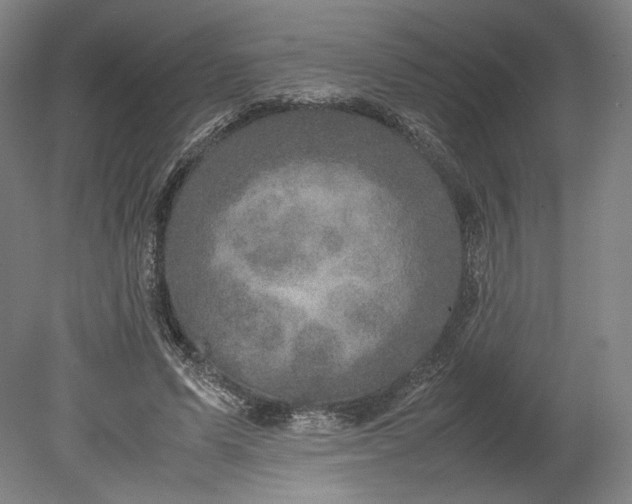 X0000080680591200701051036