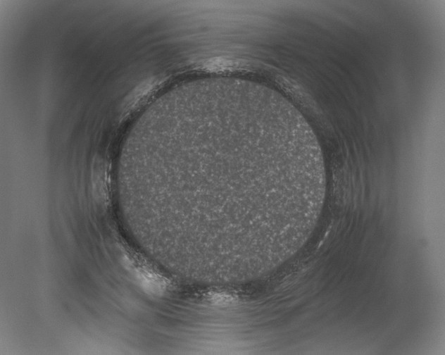 X0000080680592200701051036