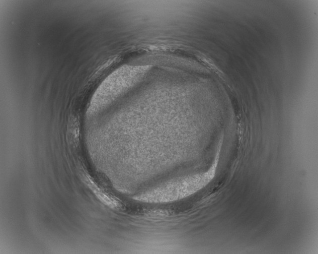 X0000080680593200701051036