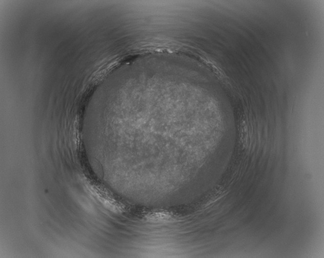 X0000080680594200701051036