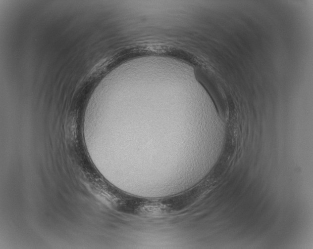 X0000080680595200701051036