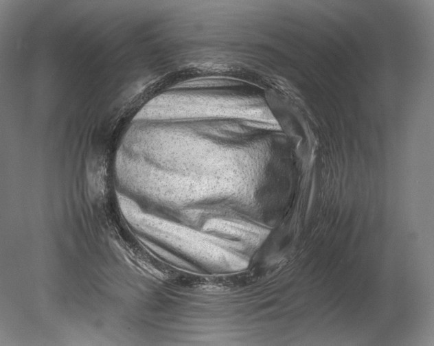 X0000080680596200701051036