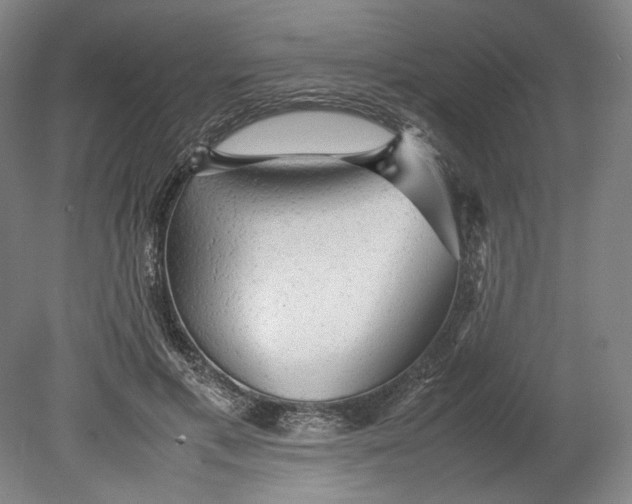 X0000080680597200701051036