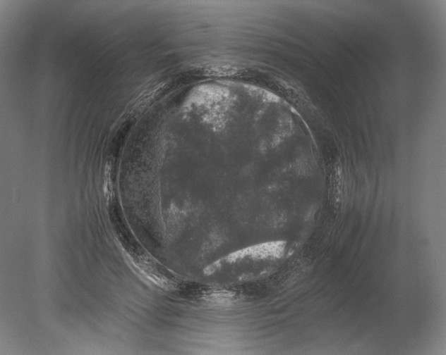 X0000080680598200701051036