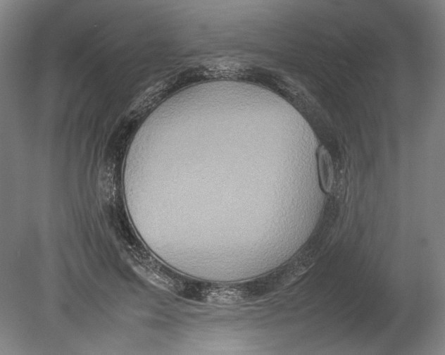 X0000080680599200701051036