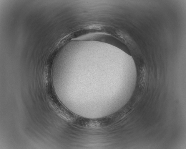 X0000080680600200701051036