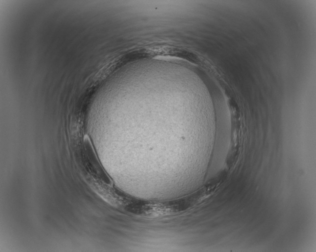 X0000080680601200701051036