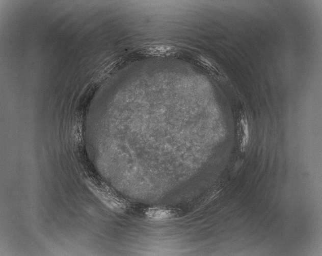 X0000080680602200701051036