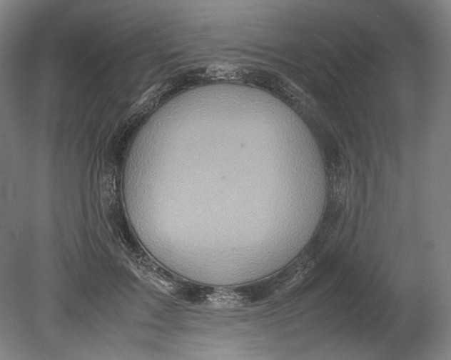 X0000080680603200701051036