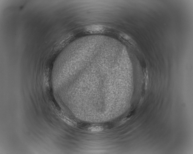 X0000080680604200701051036